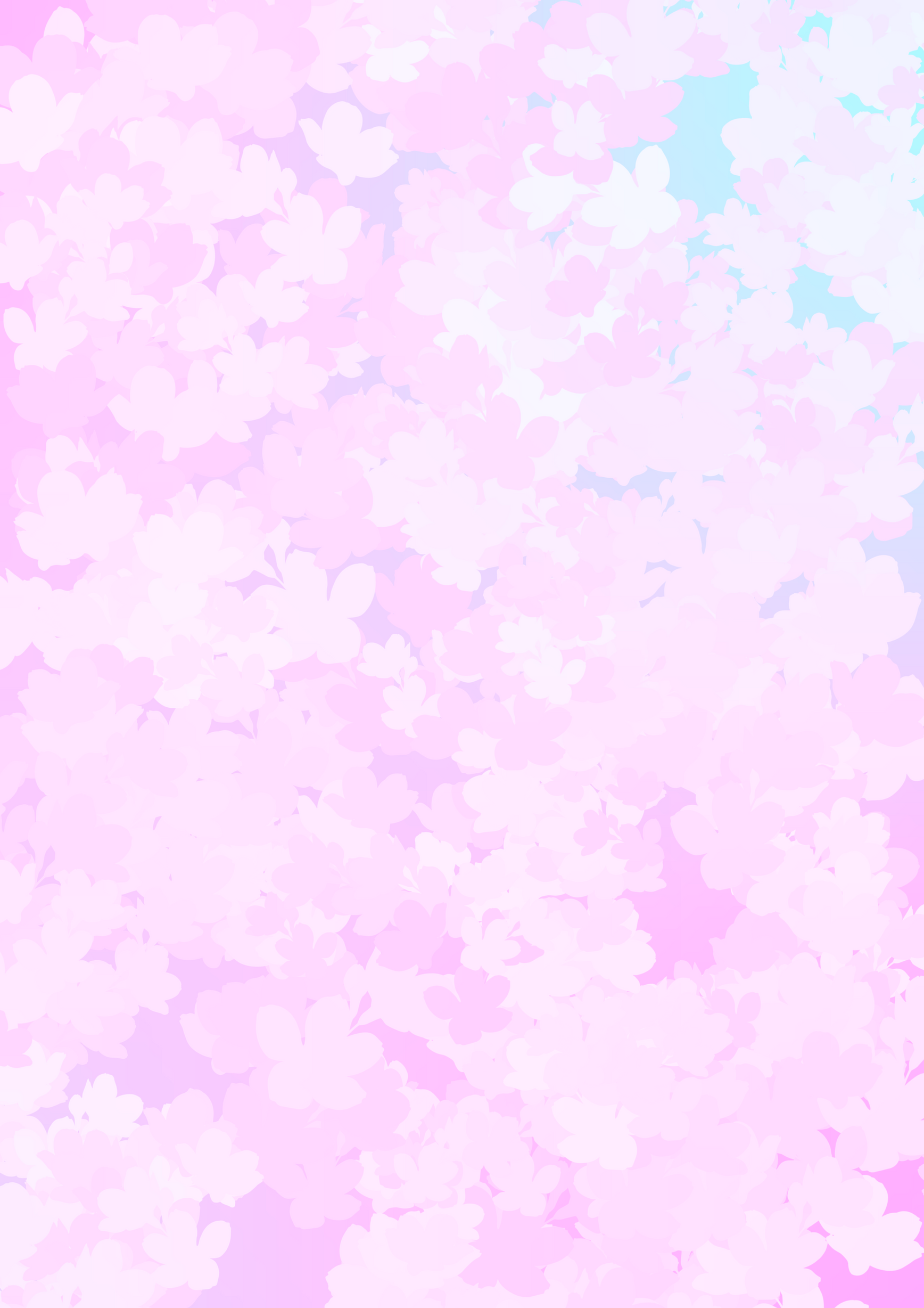 Sakura Cherry Blossom Wallpaper